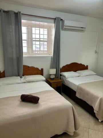 Rose Apartments Christ Church Ngoại thất bức ảnh